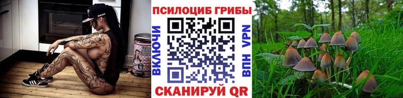 Галлюциногенные грибы ЛСД  где купить наркоту  Жуков 